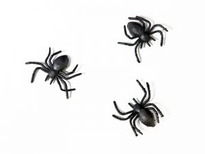 Dekorácia Pavúky čierne