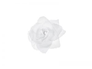Dekorácia - Umelá Ruža biela 24 ks