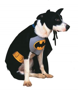 Kostým pre psov - Batman Kostýmy pre psov: M