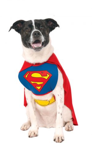 Kostým pre psov - Superman Kostýmy pre psov: M