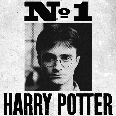 Plagát Undesirable No.1 - Harry Potter-2