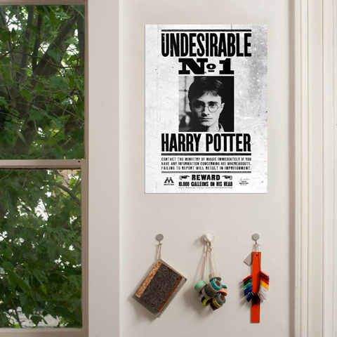 Plagát Undesirable No.1 - Harry Potter-3
