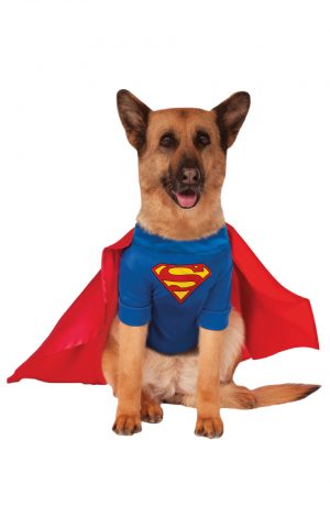 Kostým pre psov - Psí Superman Kostýmy pre psov: XXXL